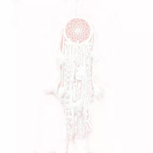 Load image into Gallery viewer, Dreamcatcher Feather Wall Hanging