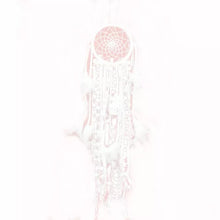 Load image into Gallery viewer, Dreamcatcher Feather Wall Hanging
